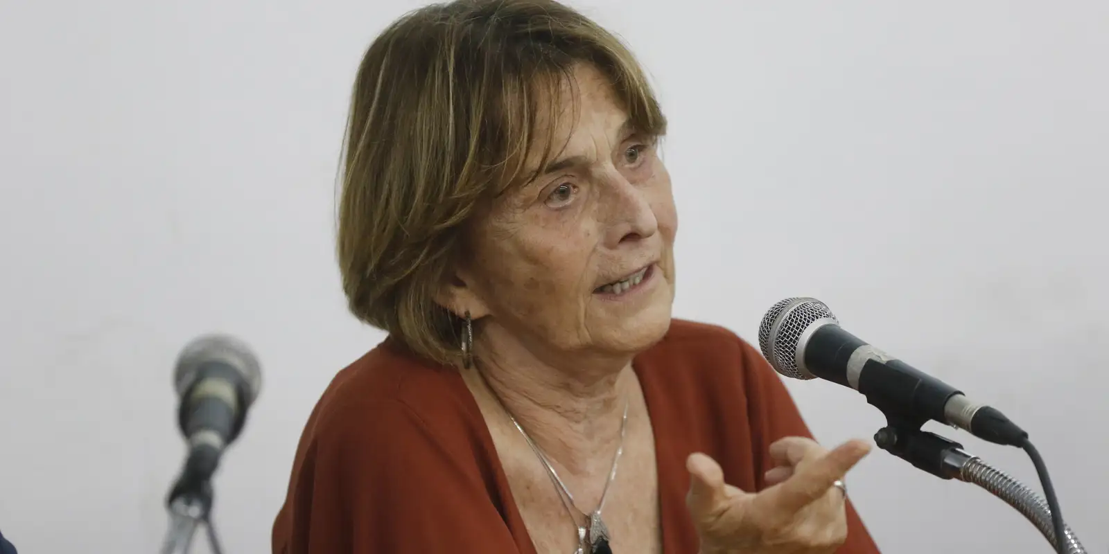 Política brasileira não enxerga ciência como solução, diz pesquisadora