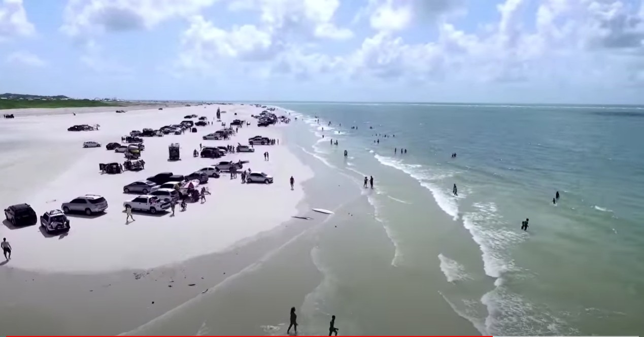 Praia do Atalaia recebe ações até fim de julho para proteger tartarugas-marinhas no Pará
