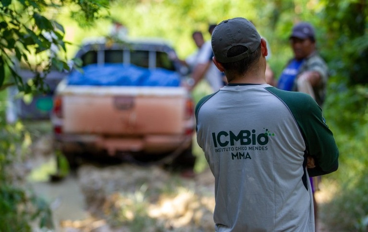 ICMBio seleciona agentes temporários com salários de mais de R$ 4 mil no Amapá; EDITAL