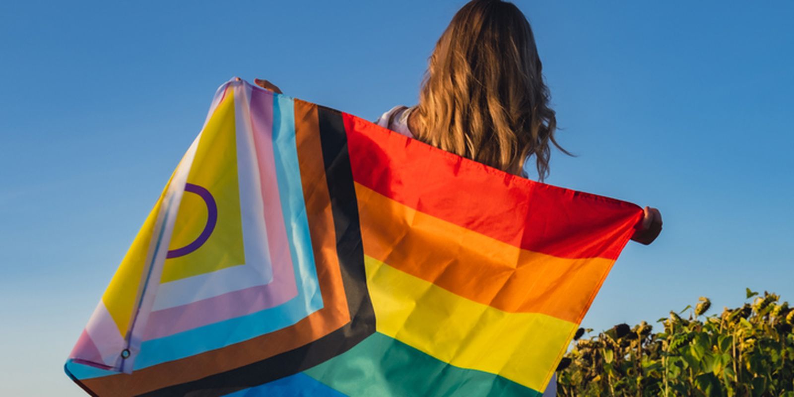 Governo lança site da conferência dos direitos das pessoas LGBTQIA+
